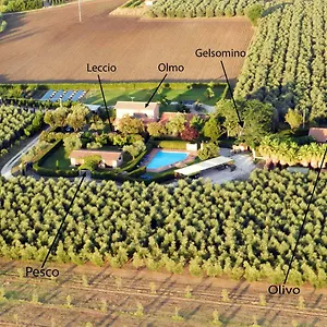 Podere Campi Al Mare Ferienhaus